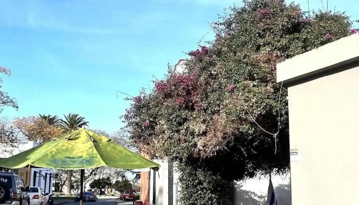 Cafeteria Pasteleria Florencia Todo - Col. del Sacramento