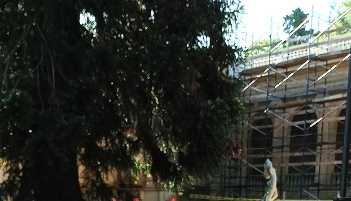 Cafeteria Petrona Comentario 4 - Montevideo