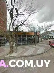 Caffelatte Bistro Street View Y 360 - Atlántida