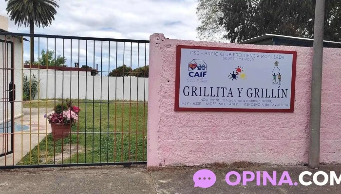 Caif Grillita Y Grillin Catalogo - Sol&iacute;s de Mataojo