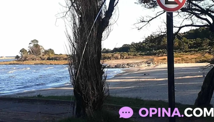 Caif Kele Kele Puntaje - Pajas Blancas