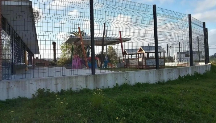 Caif Los Girasoles Instagram - Rocha