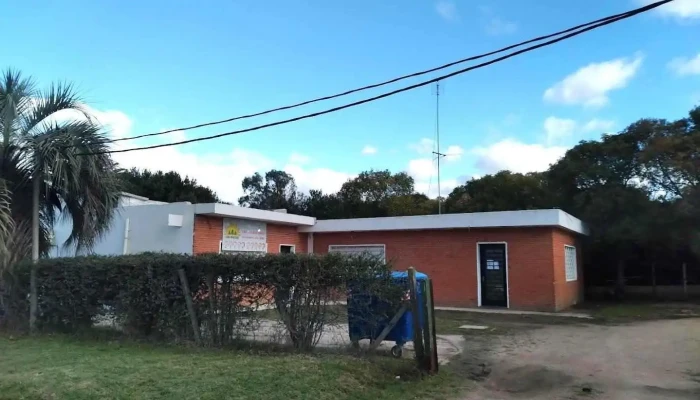 Caif los pinitos - Toledo