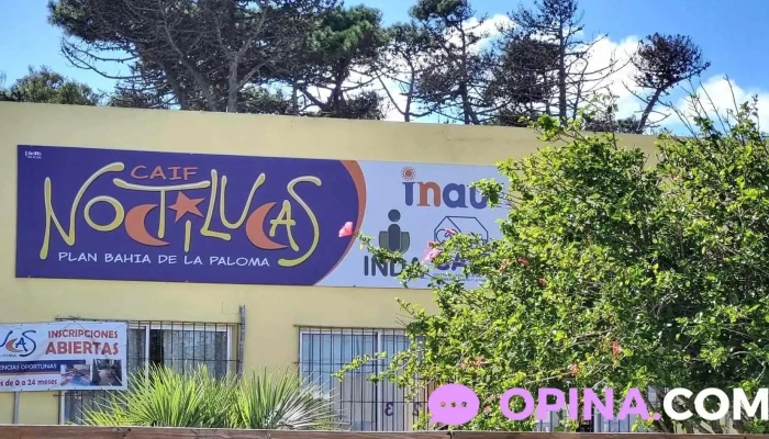 Caif Noctilucas -  Promocion - La Paloma