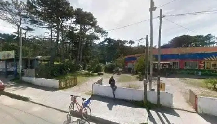 Caif Noctilucas -  Promociondeg - La Paloma