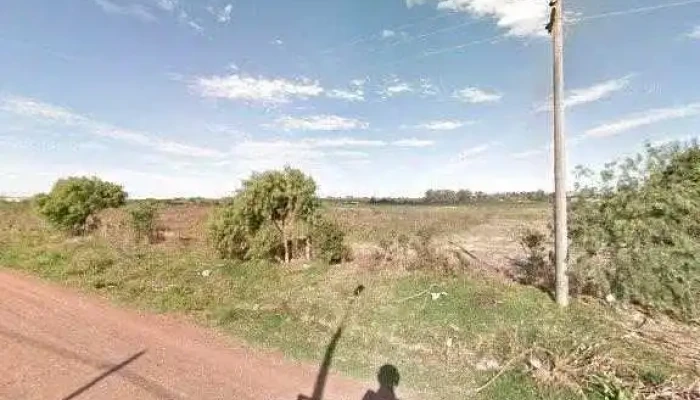 Caif Una Pindo Donde - Nueva Palmira