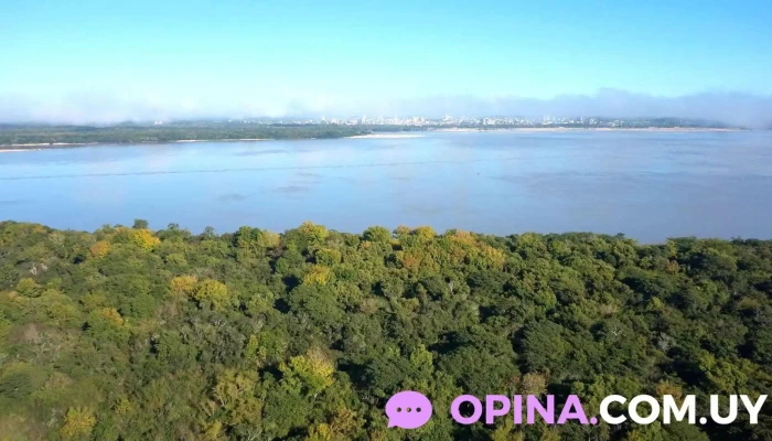 Caldeyro Victorica Bienes Raíces | Inmobiliaria En Montevideo - Montevideo