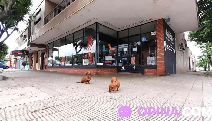 Cali Bike - 55000 Artigas