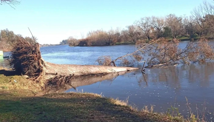 Calistro Mercedes - 12100 Montevideo