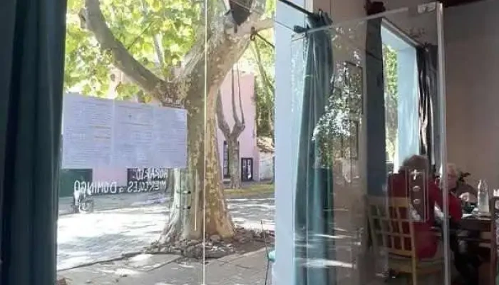 Calma Coco -  Videos - Col. del Sacramento