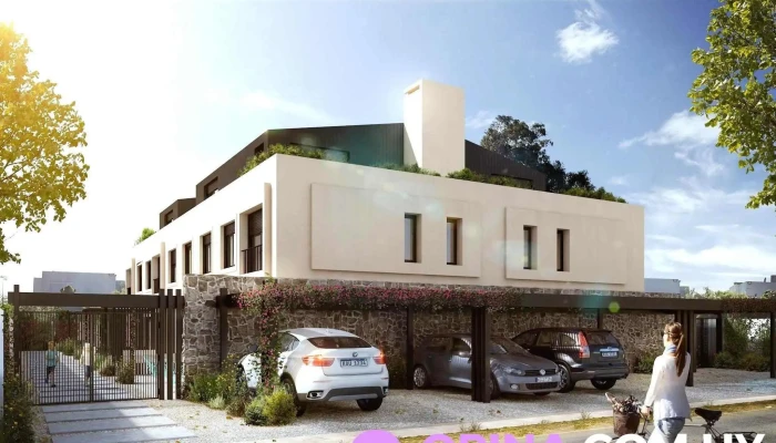 Calyptus Barra -  Sitio Web - Barra de Carrasco