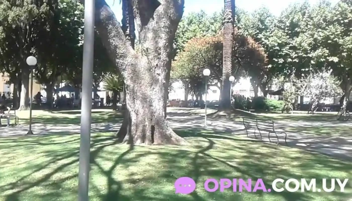 Cambio Iberia -  Videos - Dolores