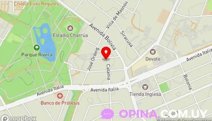 mapa de Camila Sapin escuela de canto Conservatorio de música, Profesor de guitarra, Profesor de música, Profesor de piano en Montevideo