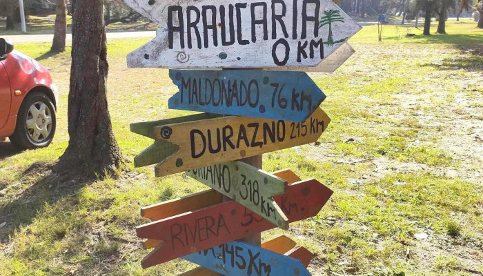 Campamento Araucaria Inau - La Floresta