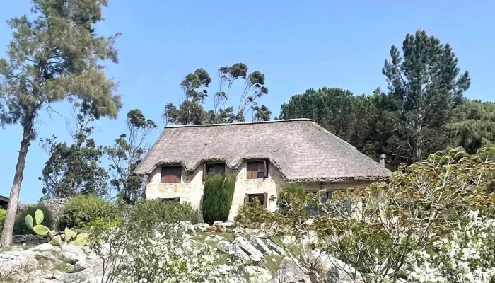 Campamento Campanero (Sagrada Familia) - Unnamed Road