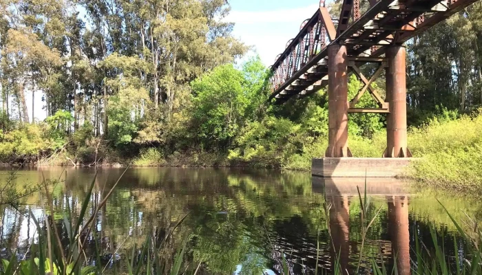 Campamento escolar Raigón - Raigon