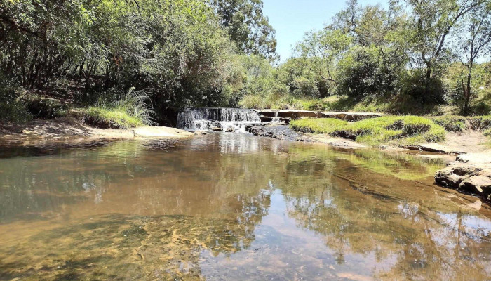 Camping El Barbudo - Rivera