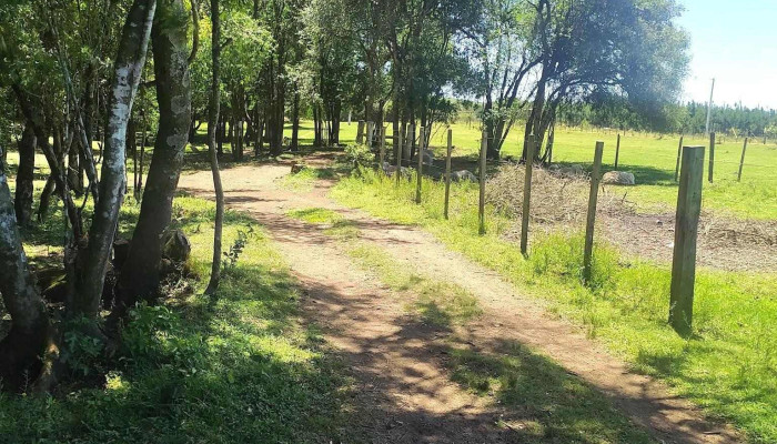 Camping el Chaja - Departamento De Rivera