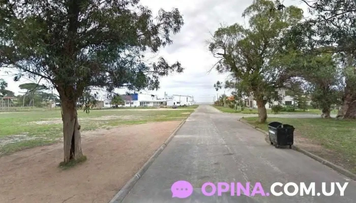 Camping Municipal - La Floresta