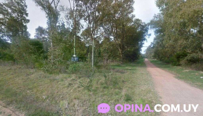 Camping Yemanja - Avenida Vicente Costa