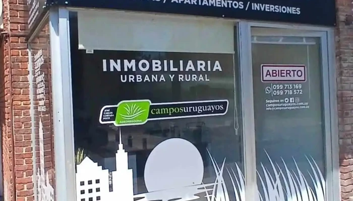 Campos Uruguayos - 20100 Punta Del Este