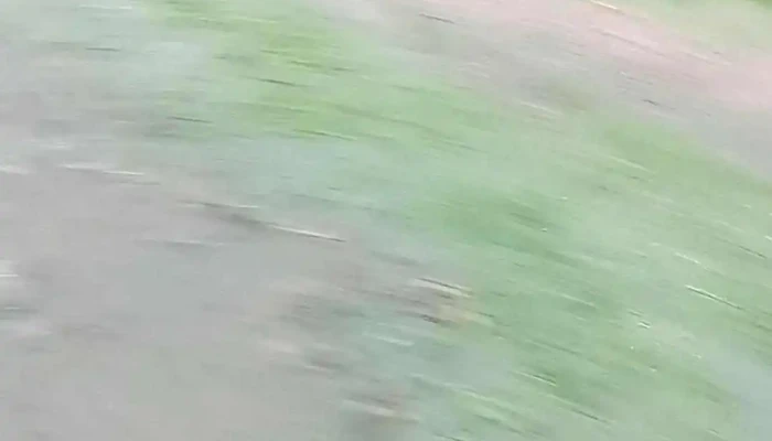 Canal 12 - 11800 Montevideo