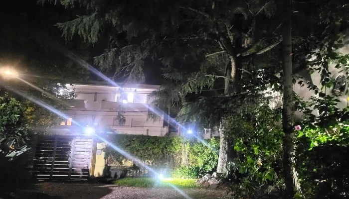 Cane Bb De Los Visitantes - Montevideo