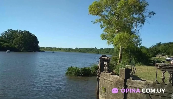 Canelones -  Videos - Canelones