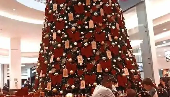 Canton Chino Ambiente - Montevideo