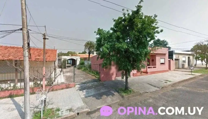 CanyCat - 55000 Artigas