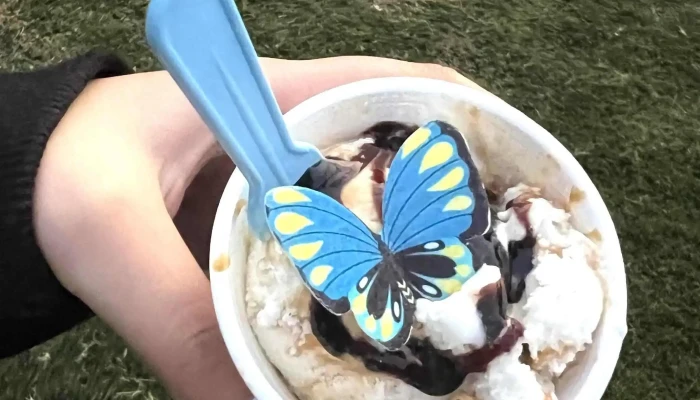 Caprichos -  Comentario 3 - Paysandú