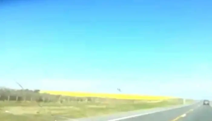 Cardona -  Videos - Cardona