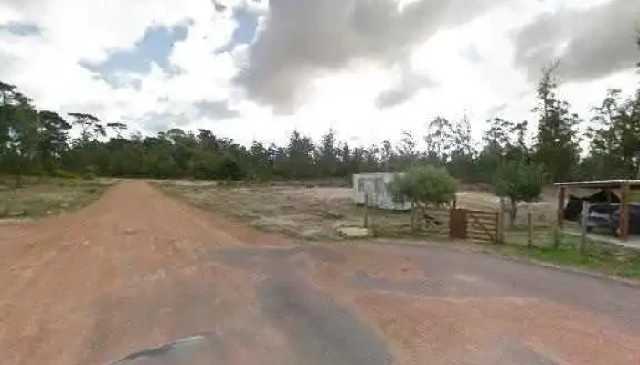 Carlinas Beer Street View Y 360 - Maldonado