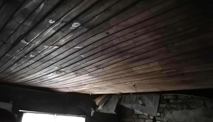 Carlos Gardel Y Espana Opiniones - San José de Mayo