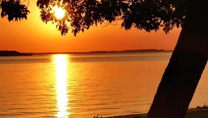 Carmelo Rivas -  Comentario 10 - Carmelo