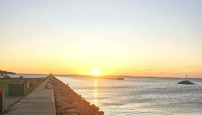 Carmelo Rivas -  Comentario 11 - Carmelo