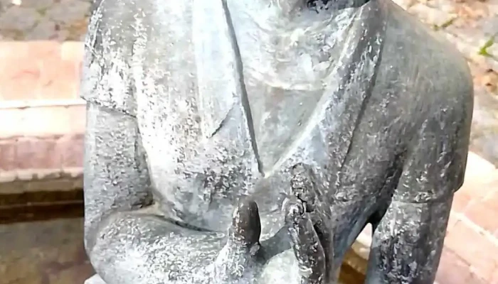 Carmelo Rivas -  Videos - Carmelo