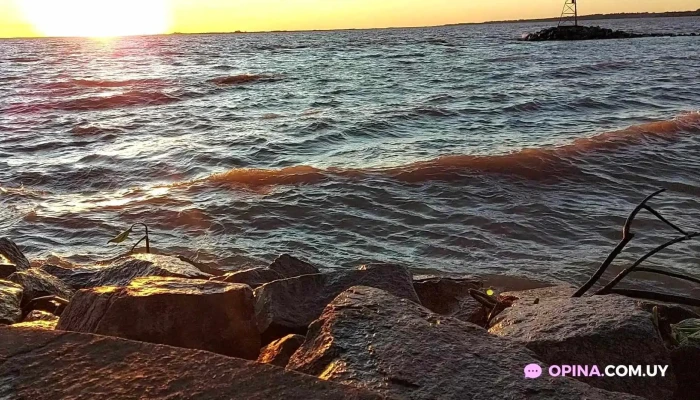 Carmelo -  Videos - Carmelo