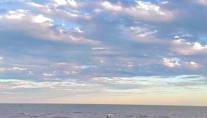 Carrasco -  Videos - Montevideo