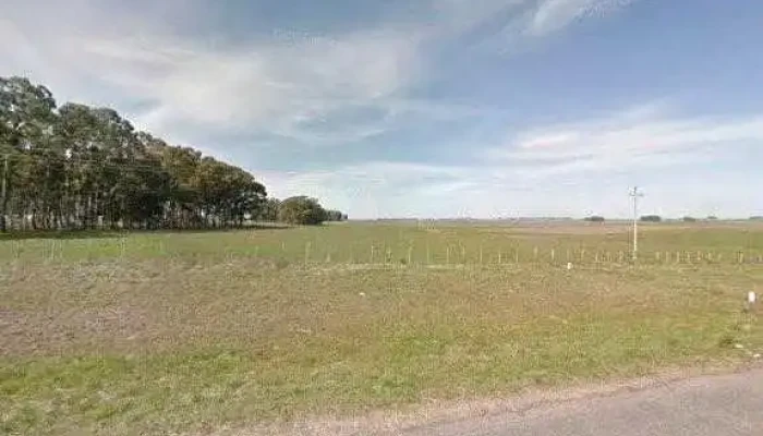 Carrito La Radial -  Street View Y 360 - Durazno