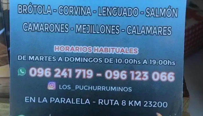 Carrito Los Puchurruminos -  Menu - Barros Blancos