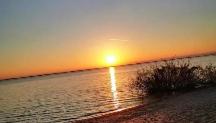 Carrito Ml -  Todas - Fray Bentos