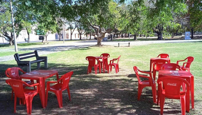 Carrito Tu Sabor -  Todas - Carmelo