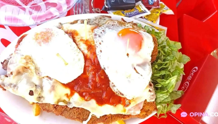 Carro La Familia Todo - San Ramón