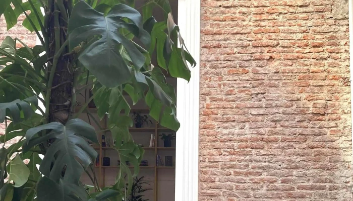 Casa Berracos -  Comentario 11 - Montevideo