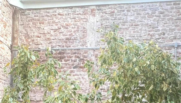 Casa Berracos -  Comentario 6 - Montevideo