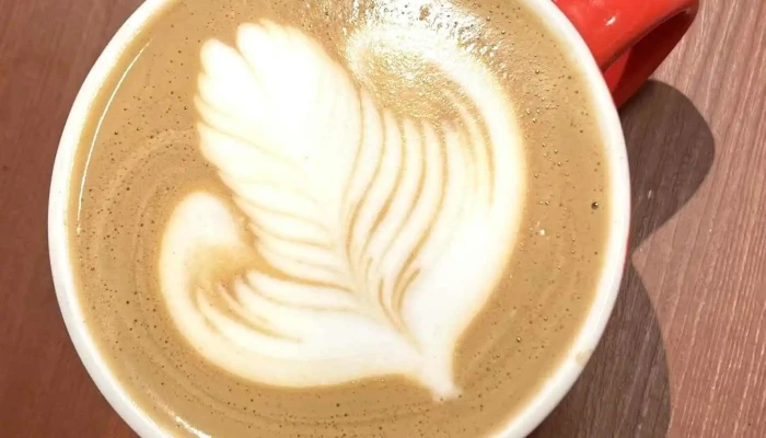 Casa De Abajo Cafe Del Propietario - Montevideo