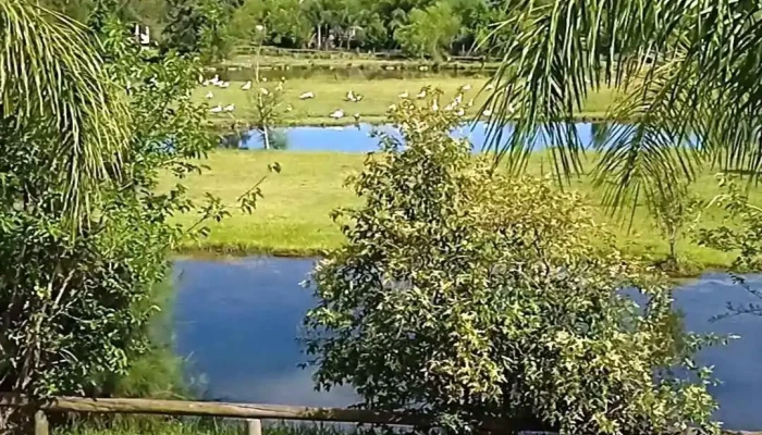 Casa De Piedra Posada Del Siglo Xlx Mas Recientes - Termas del Dayman