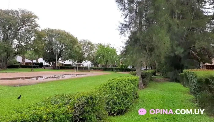 Casa De Piedra Posada Del Siglo Xlx Videos - Termas del Dayman