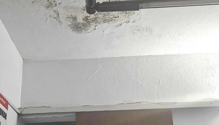 Casmu Sauce -  Donde - Sauce